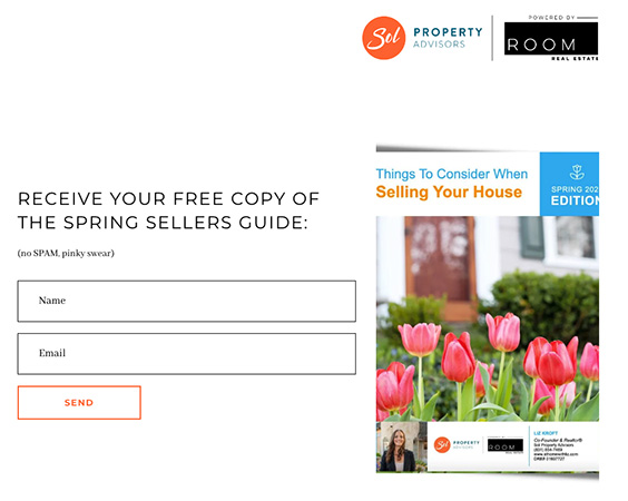 Liz Kroft seller's guide landing page