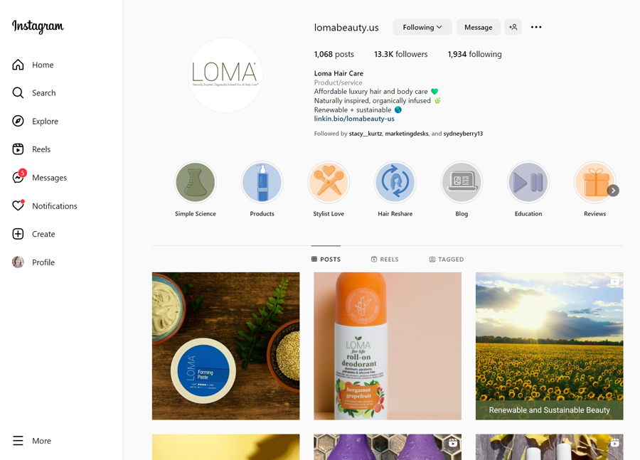 An example of an Instagram profile for a growing brand