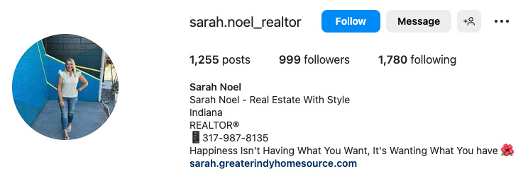 Real estate agent Instagram bio with tagline, "Real estate with style."