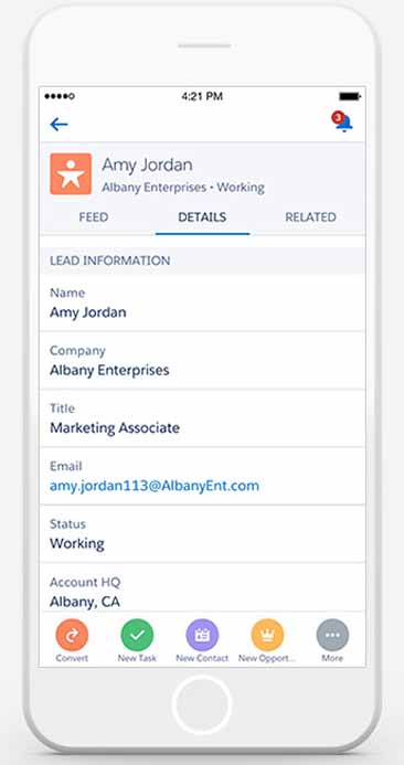 Viewing a mobile lead record in Salesforce Essentials.