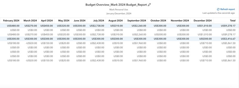 Sample Budget Overview report showing the estimated amounts entered for each month.