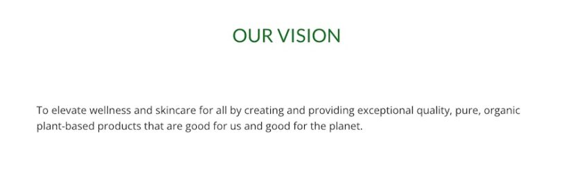 12 Inspiring Vision Statement Examples for Small Businesses