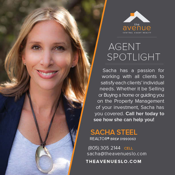 Example of agent spotlight flyer.