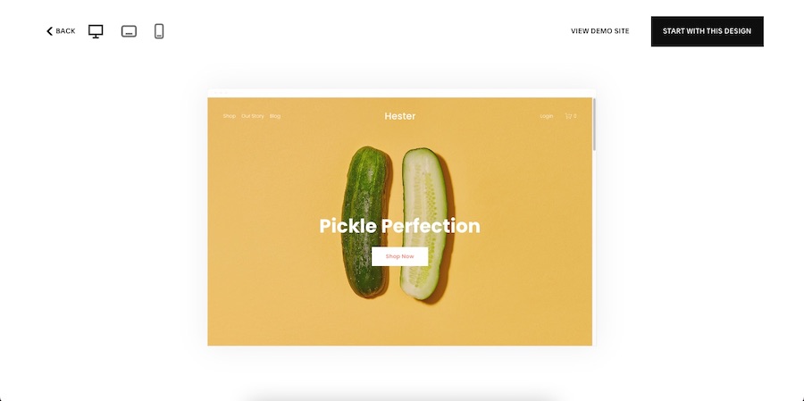 A preview of a Squarespace website template
