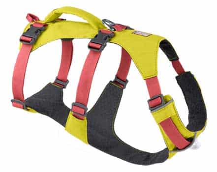 Red and yellow dog harness on a white background.