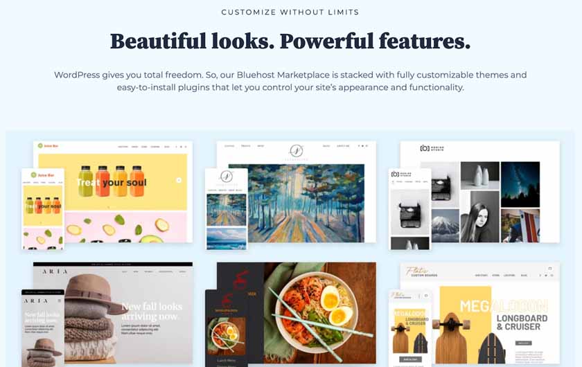 A selection of Bluehost premium WordPress templates