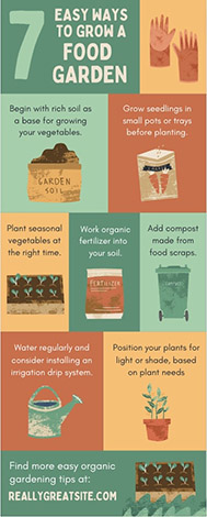 An infographic designed in Canva on how to grow a garden.