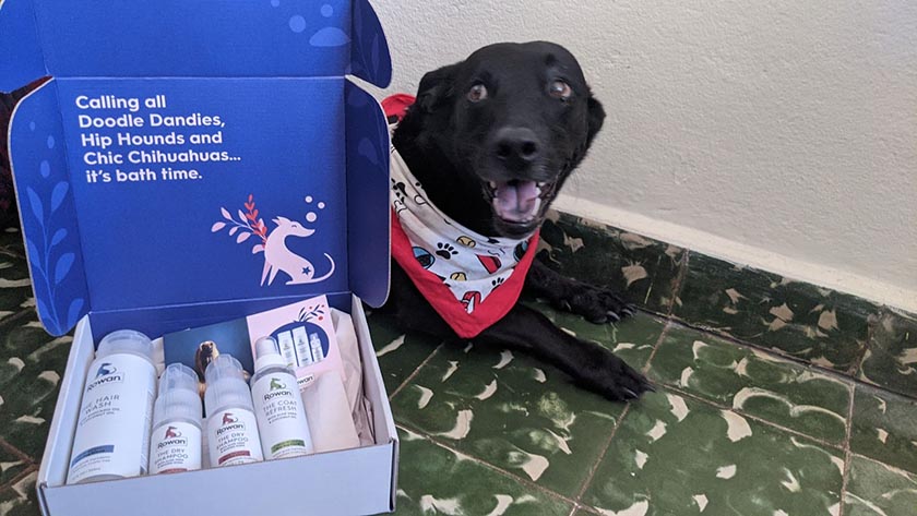 Rowan ships its pet care products in custom-branded packaging with on-brand microcopy.