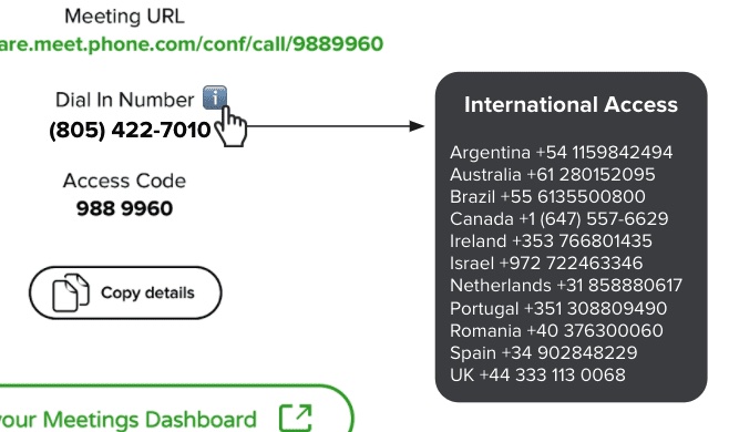 A video meeting information page showing the meeting URL, dial in number, international access numbers, and access code