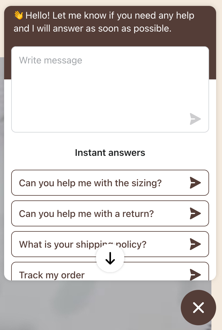 Chat window from Abysse's website with options to type a message or click on common questions like help with sizing or returns.
