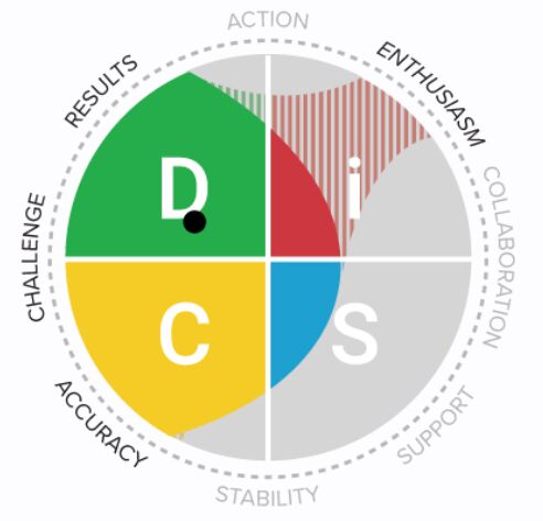 circular graph showing DISC results.