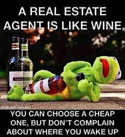 Kermit meme titled "A real estate agent is like wine".