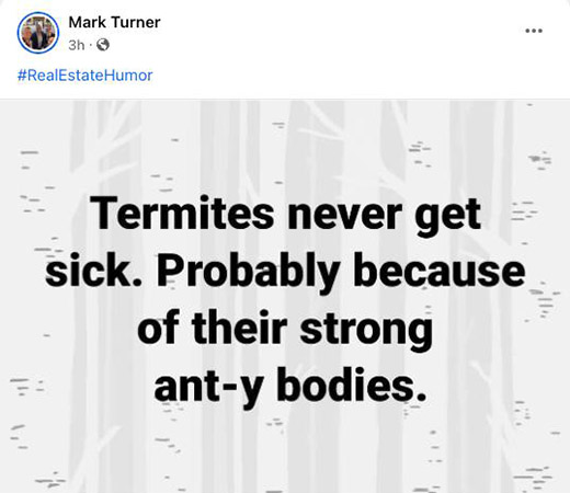 Realtor Facebook post with joke about termites.