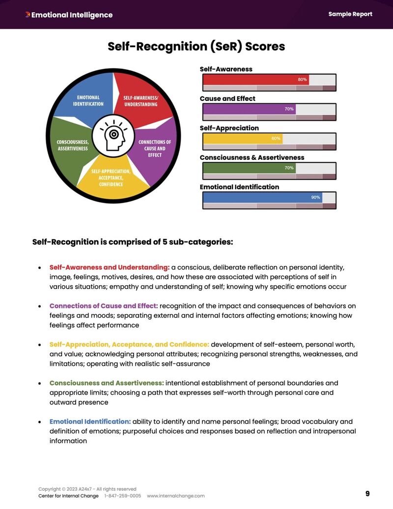 circle and bar graph of emotional intelligence testing with results