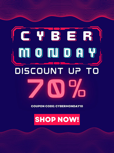 https://fitsmallbusiness.com/wp-content/uploads/2023/06/Screenshot_cyber_monday_coupon_digital_ad.jpg