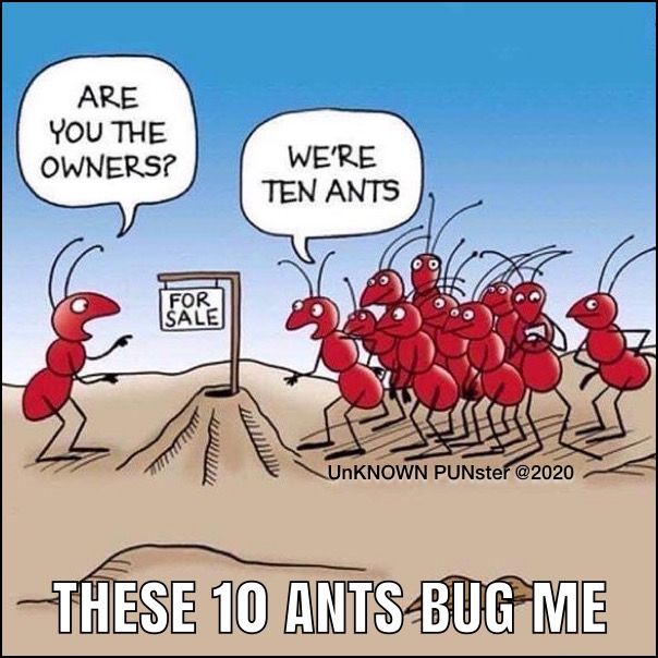 Meme of ten ants posing as tenants of a home for sale.