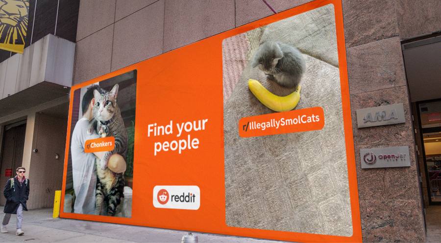 Reddit billboard with images from Chonkers and IllegallySmolCats communities