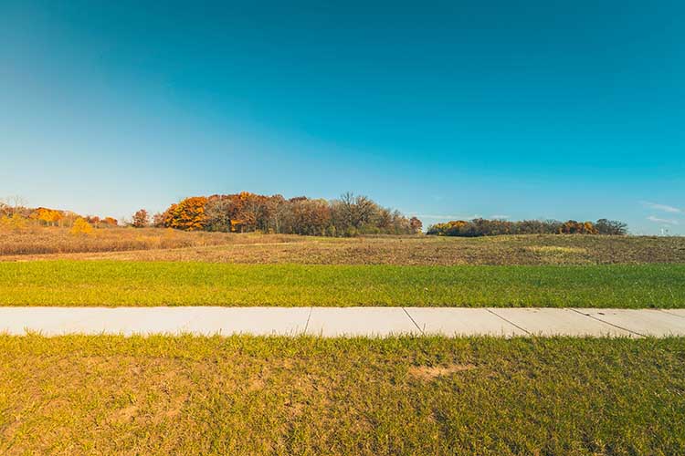 An image of a vacant lot