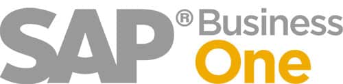 SAP Business One logo