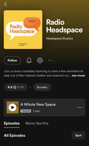 "Radio Headspace" podcast by the startup company Headspace.