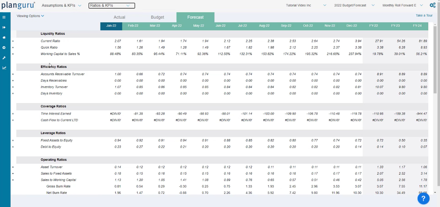 Image showing the ratios and KPIs generated using the report builder tool.