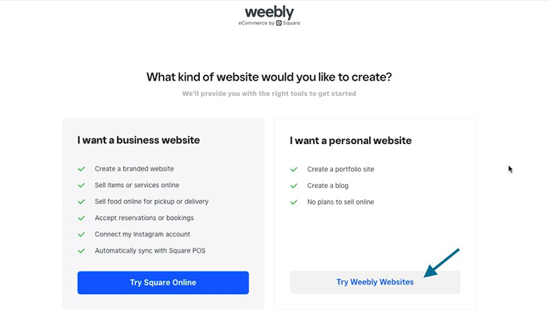 Weebly prompt to choose a type of website.
