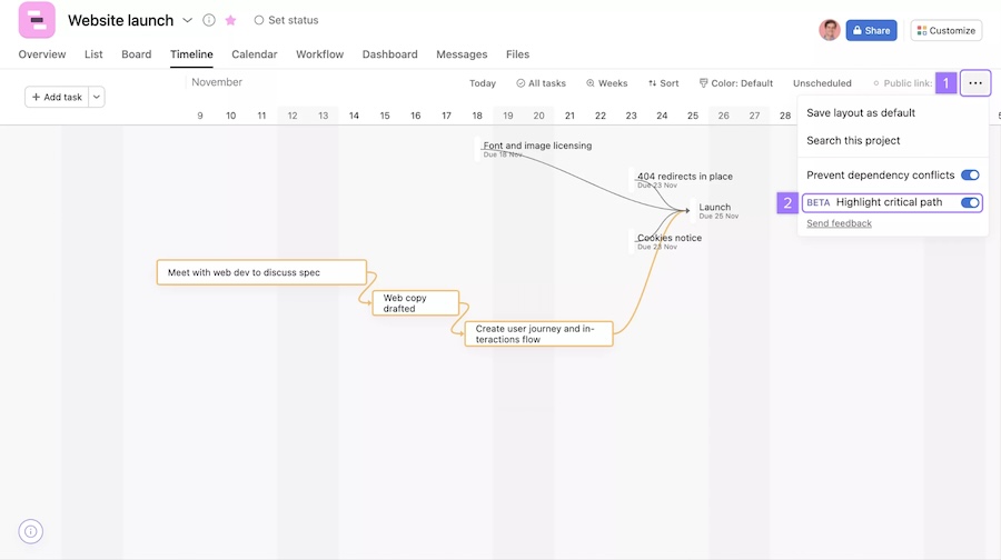 Asana interface showing a timeline of the project titled "Website launch" with the critical path displayed.