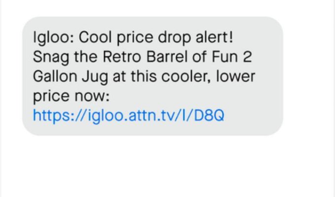 Sample marketing SMS from Igloo promoting a sale.