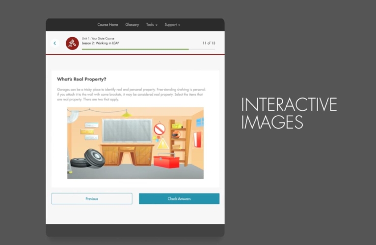 Interactive images on LEAP platform.