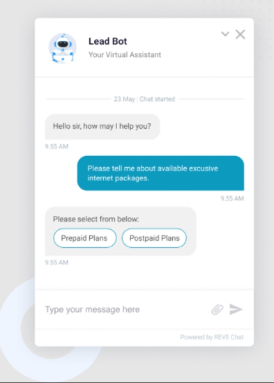 An example of an interaction with REVE Chat's AI chatbot for customer support.
