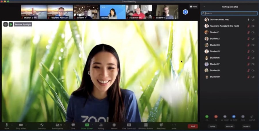 A screenshot of a Zoom meeting with spotlight feature enabled.