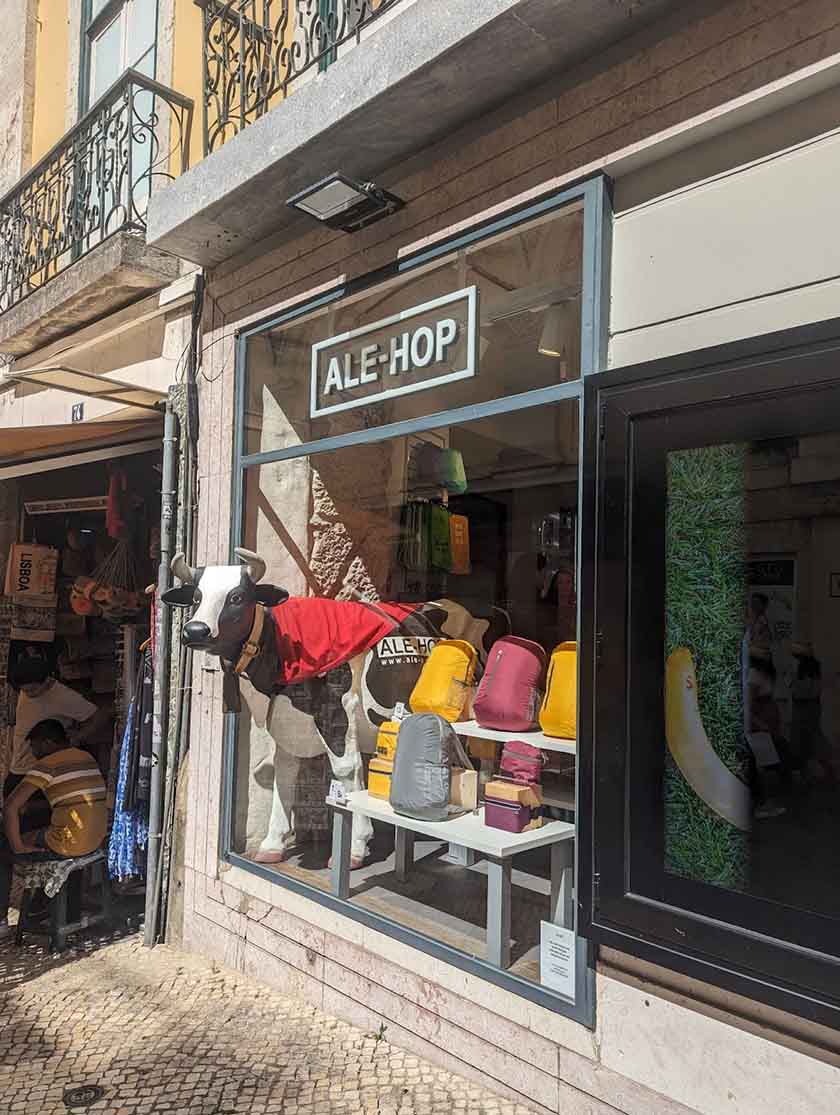 Storefront window with a cow whose head extends beyond the outer glass of the window for a 3D effect.