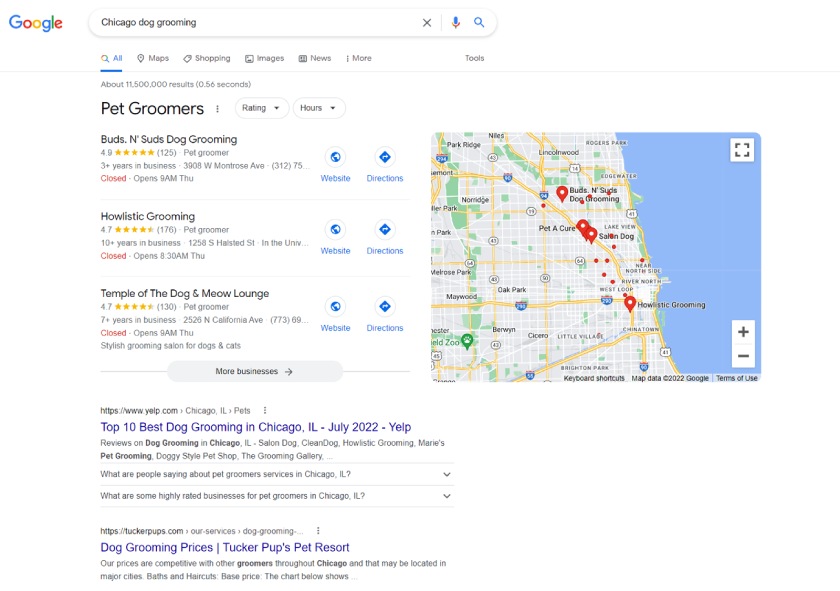 Top SERPs for “chicago dog grooming” in an incognito Google search.