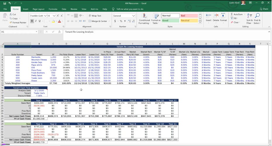 An Excel spreadsheet used in the course.