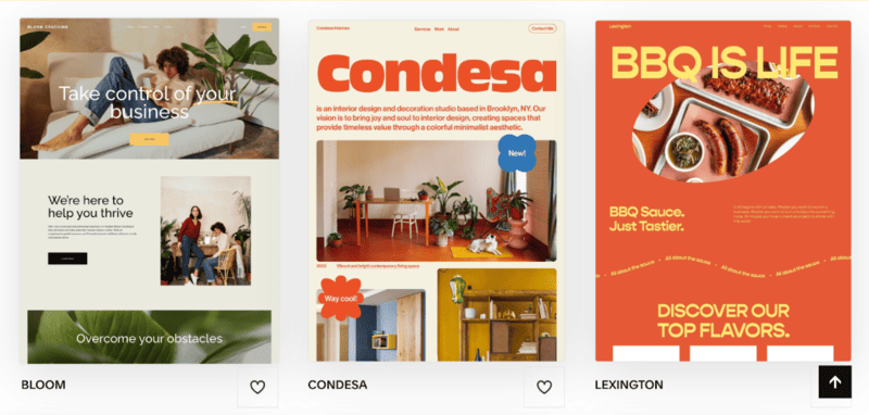 Squarespace website theme previews for Bloom Condesa Lexington