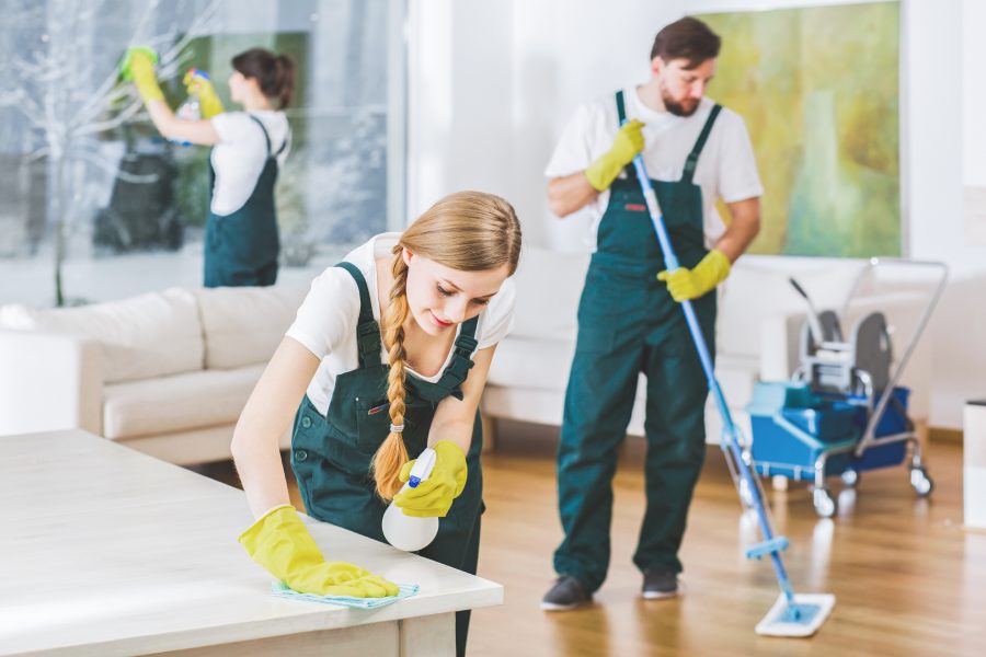 Crew of individuals cleaning a property. 