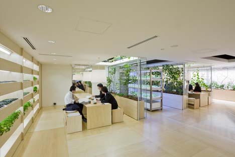 Office with a hydroponic garden.