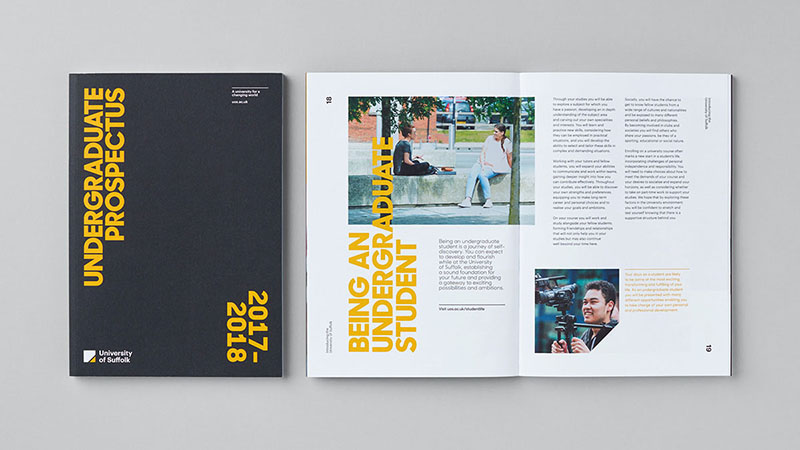 Brochure for a university using brightly colored headings.