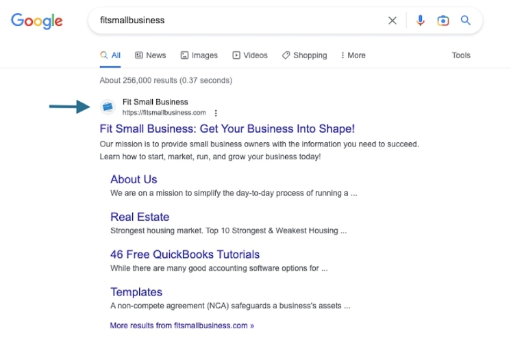 An example of the Fit Small Business favicon on Google's search results.