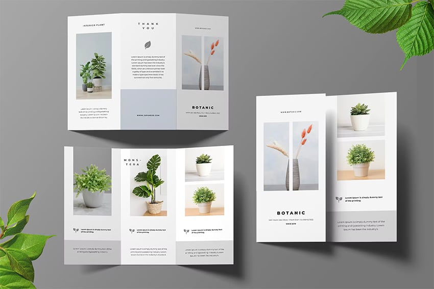Lifestyle brochure with white space to highlight images.