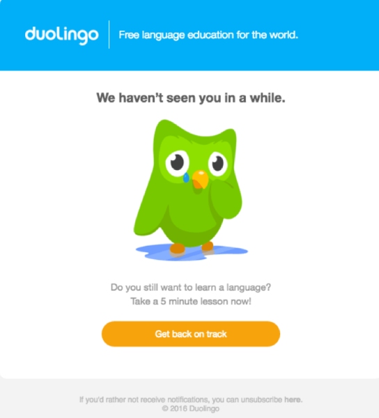 A customer win-back email from the language-learning app Duolingo featuring its owl mascot shedding a tear.