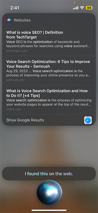 Sample search results on Siri for what "voice search optimization" is.