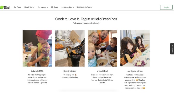 A business website with a section embedded with customers' Instagram posts