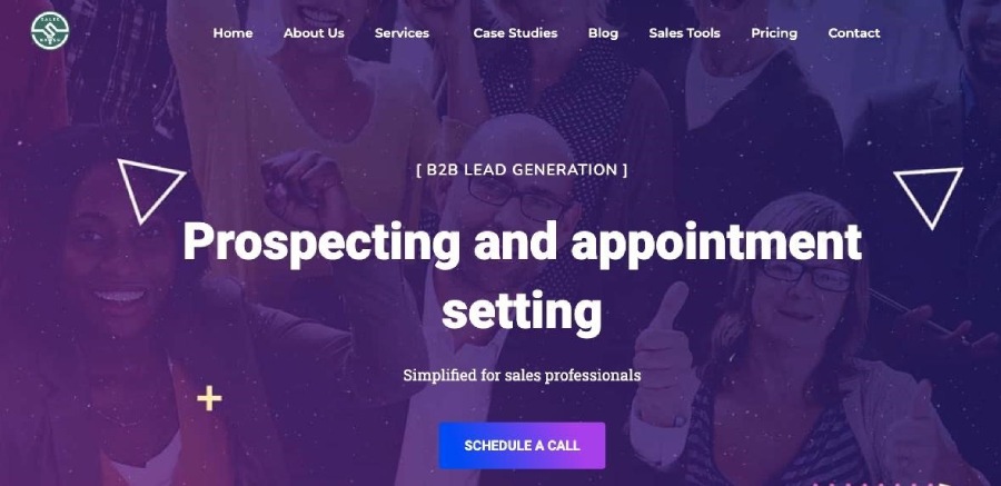 Viewing the home page for SalesNash.