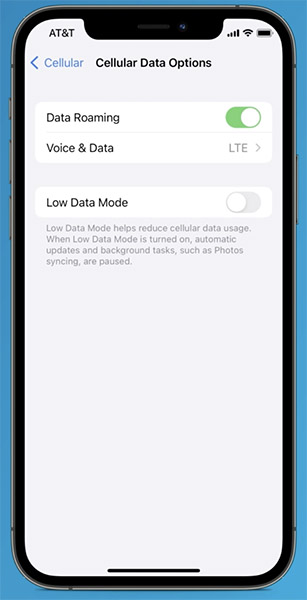 An iPhone showing the settings for cellular data options with the data roaming toggled on and the voice and data configured to LTE.