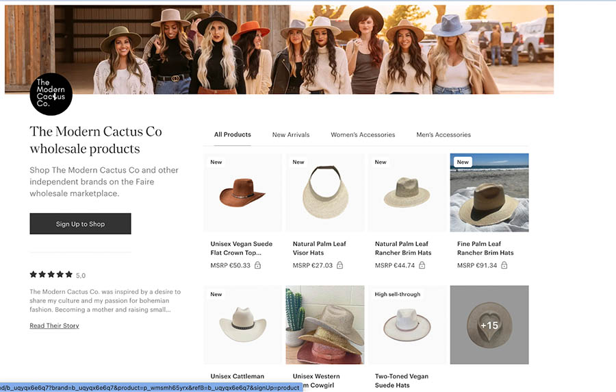 The Modern Cactus Faire shop page with stylish felt hats.