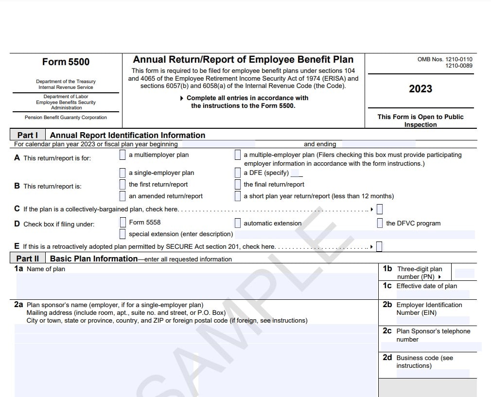 Screenshot 2023 Form 5500