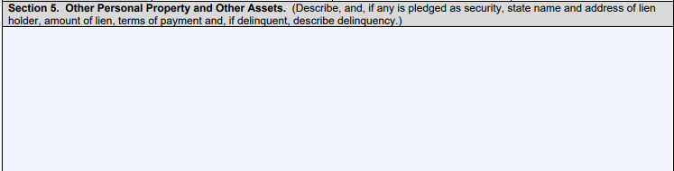 Section 5 of SBA Form 413 includes Other Personal Property and Other Assets