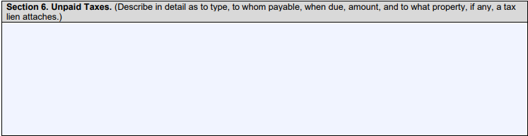 Section 6 of SBA Form 413 includes the Unpaid Taxes field.