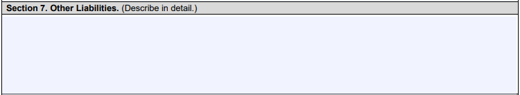 Section 7 of SBA Form 413 includes Other Liabilities